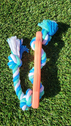 Dog toy with blue and white rope on a grass background