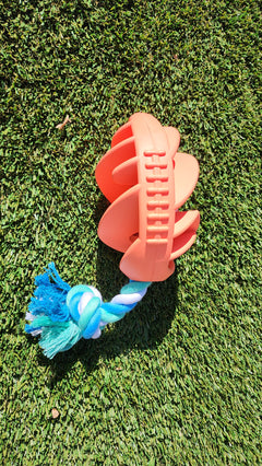 Dog toy with red -orange chew part and blue rope on grass