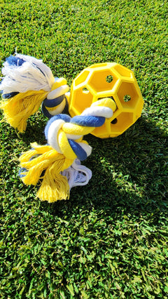 Dog toy with yellow and blue elements on grass