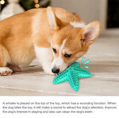 Corgi dog playing with a teal dog toy on a light-colored floor.