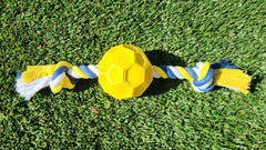 Dog toy with a ball and rope on grass