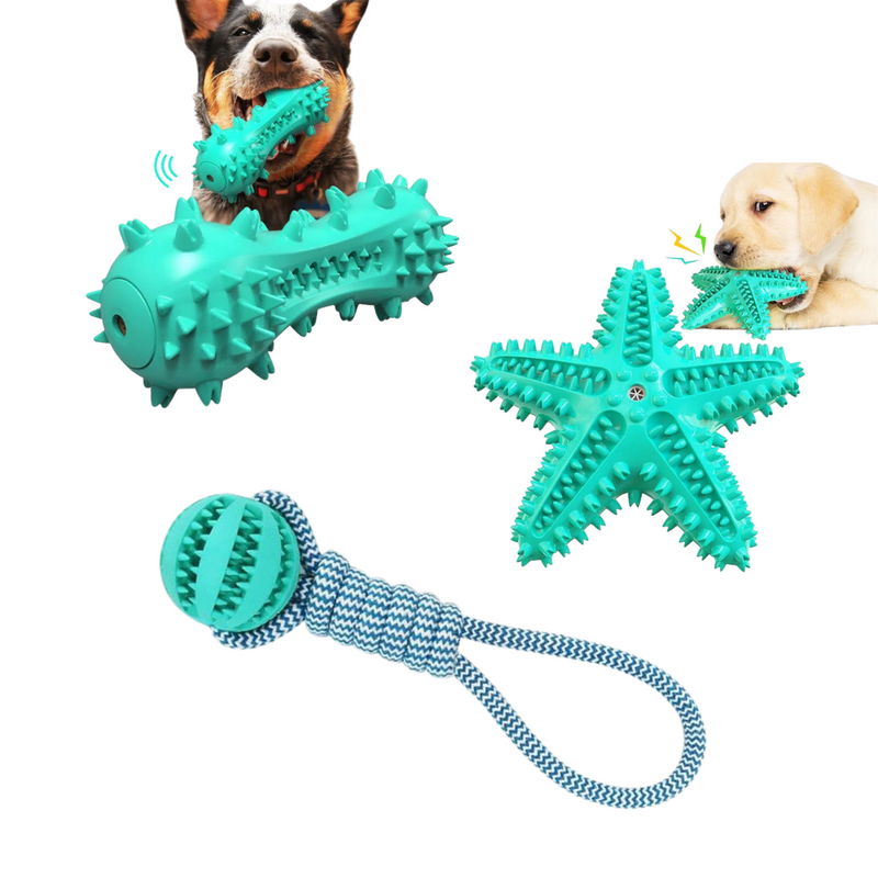 Three teal dog toys with a dog chewing on one of them, on a white background.