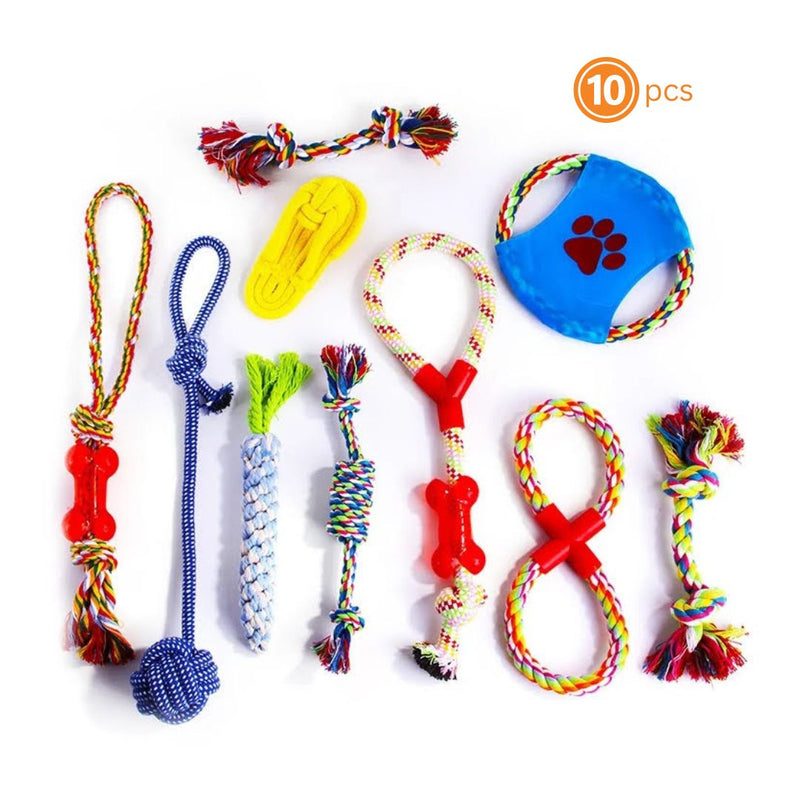 Assorted dog toys including bones, balls, and frisbees on a white background