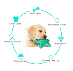 Dog holding a green star-shaped dog toy with text highlighting benefits on a white background