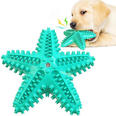 Green star-shaped dog toy with a dog chewing on it