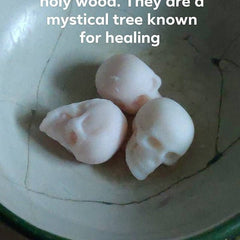 Three white wax skulls on a textured surface with text about holy wood and healing.